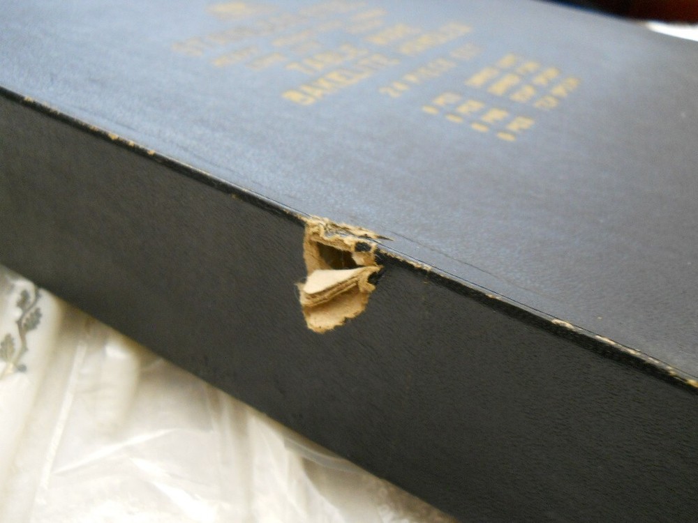 21 Pc Set Royal Crown Bakelite Flatware MCM Danish Modern White Silver Oak Leaf