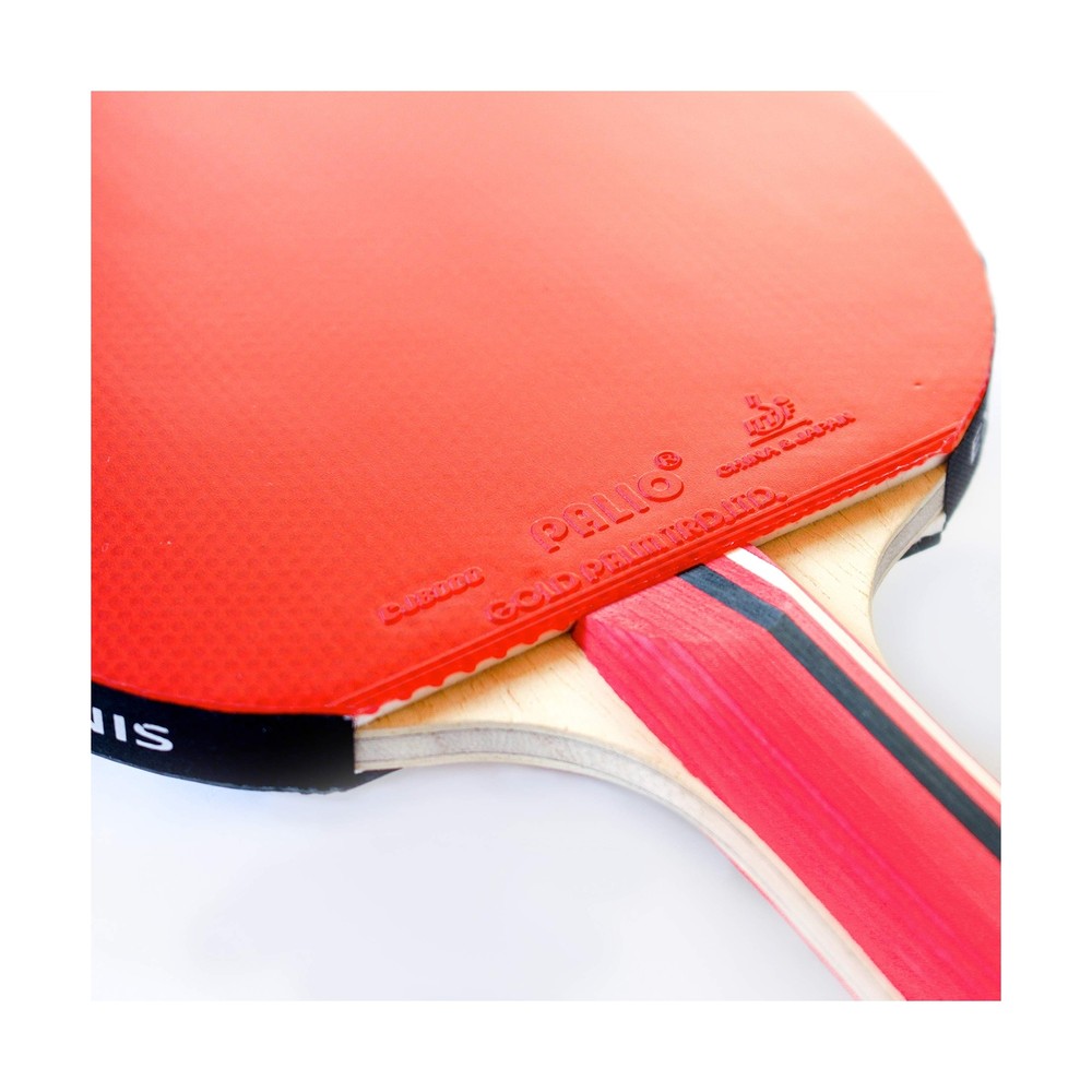 Palio Master 3.0 Table Tennis Racket & Case - ITTF Approved Intermediate Ping...