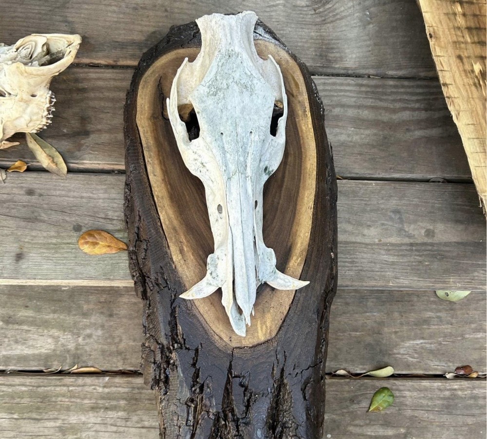 Custom Wooden Mounts