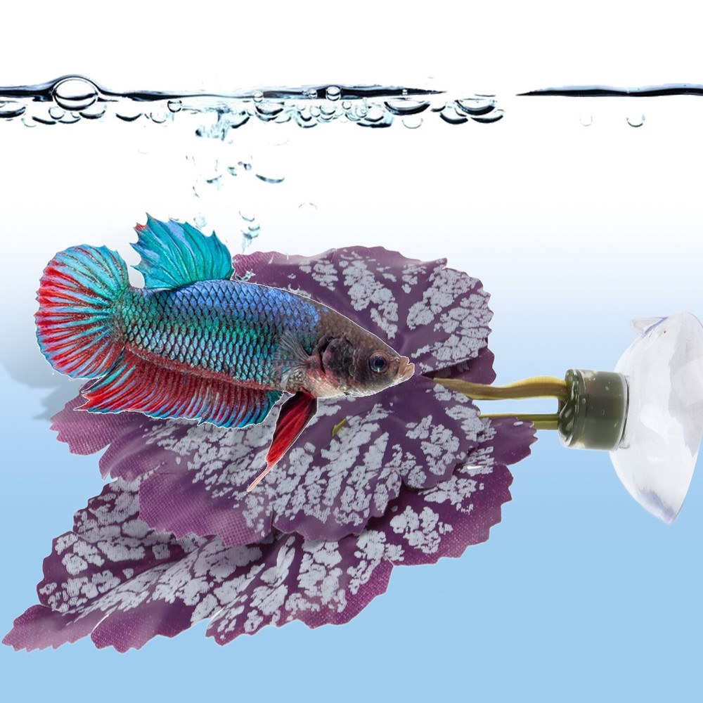 Betta Fish Leaf Pad Plastic Leaf Betta Hammocks with Suction Cup