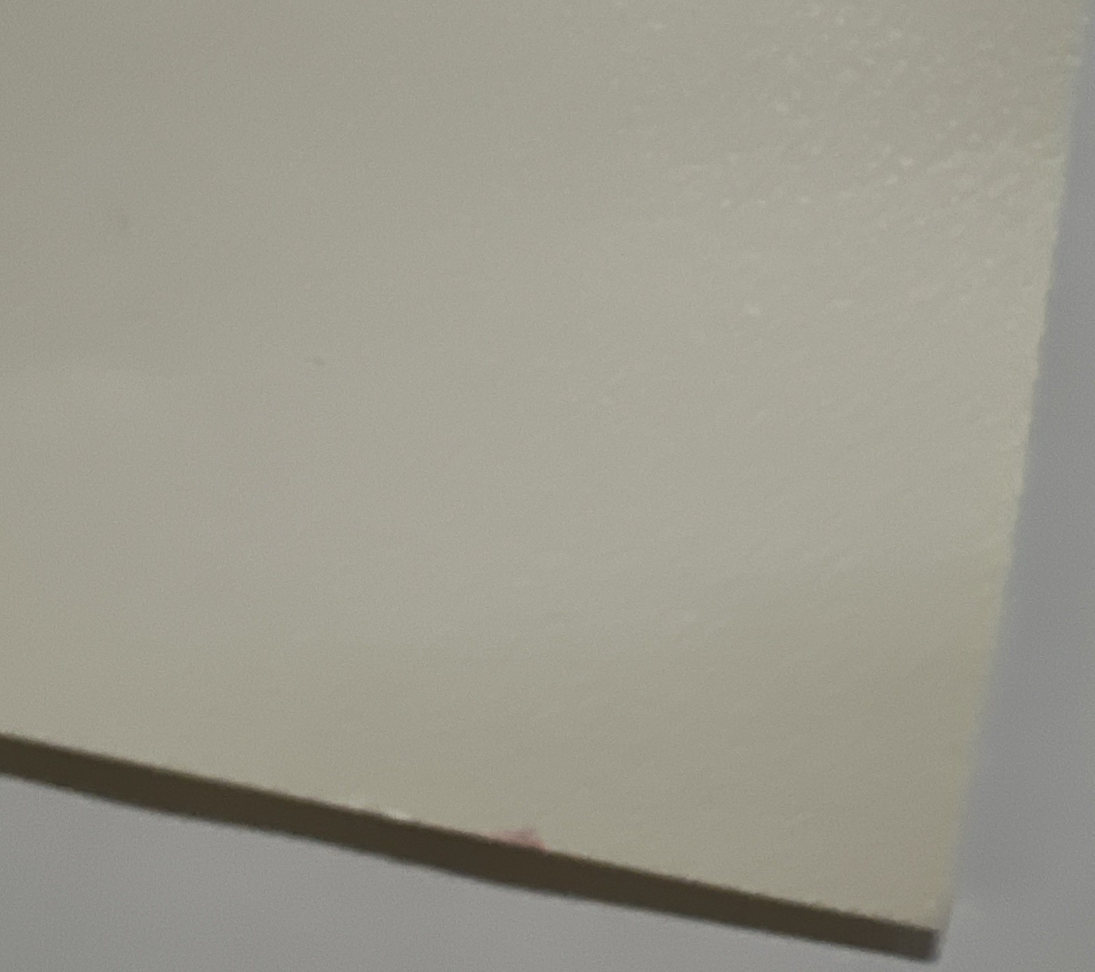 Vintage Lynx Bobcat / Cougar Mountain Lion Art Prints 16 X 20” Unframed Lot Of 2