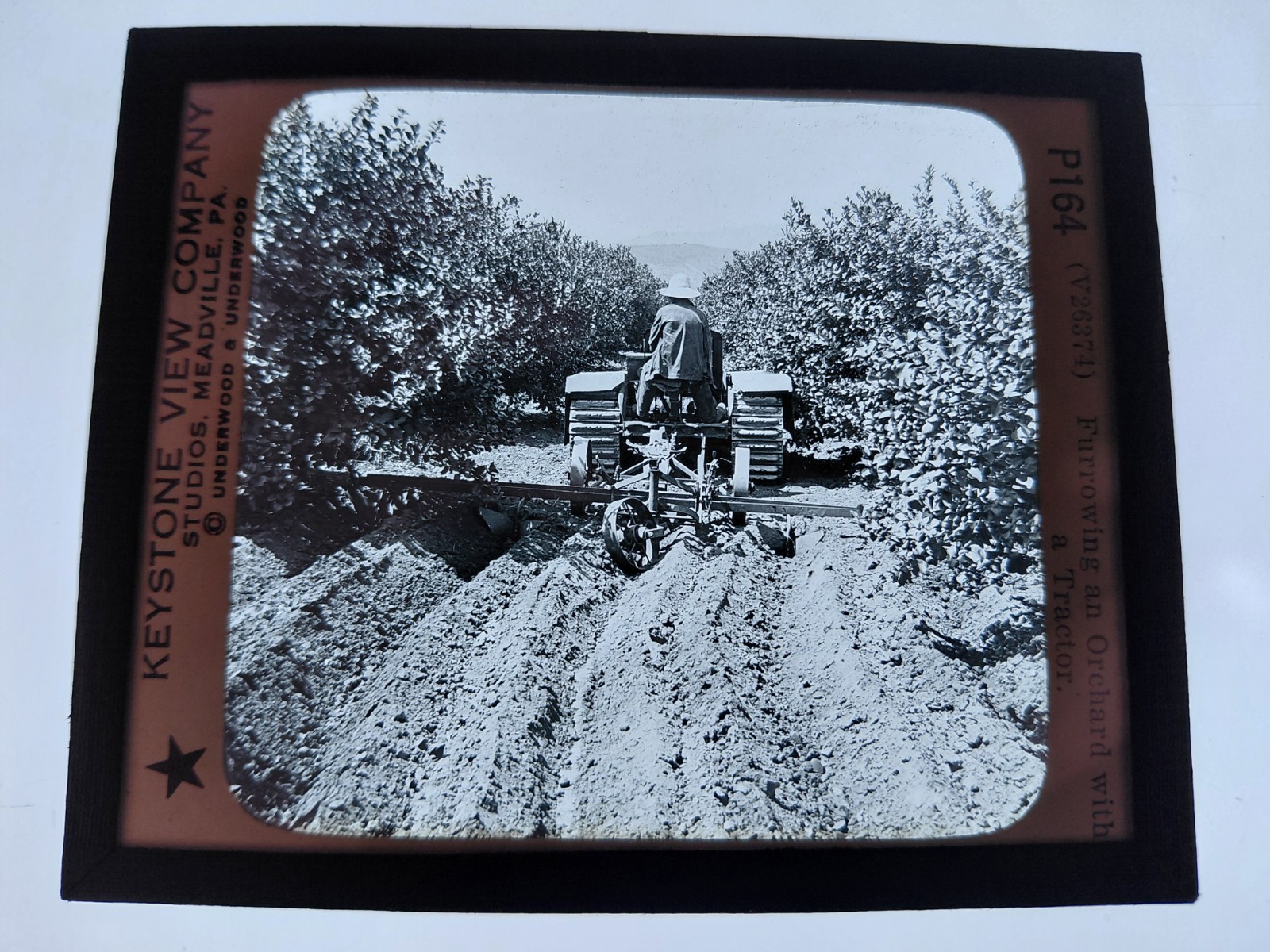Magic Lantern Glass Slide Photo Keystone P164 Furrowing An Orchard w a Tractor