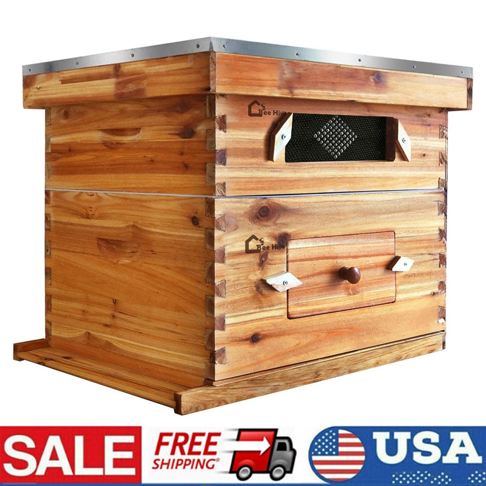 Bee Hive Langstroth Kit 1 Deep & 1 Medium Box 20 Frames with Acrylic Windows
