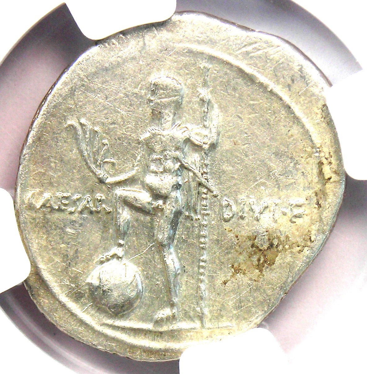 Augustus AR Denarius Silver Octavian Roman Coin 31 BC - Certified NGC XF (EF)