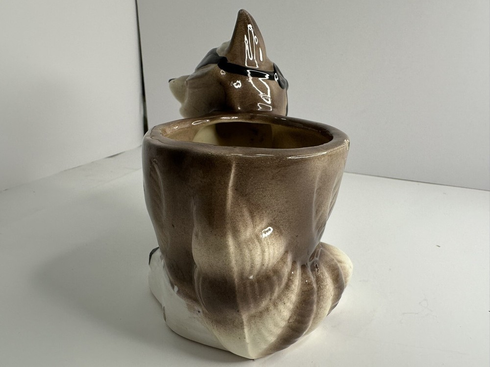 Ceramic Masked Bandit Planter