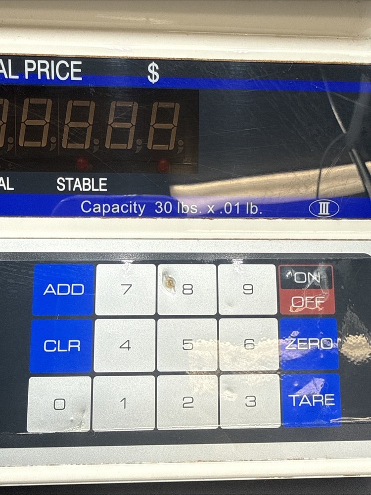 TESTED Globe GS30 30lb Capacity Price Computing 2-Sided Deli Scale Used