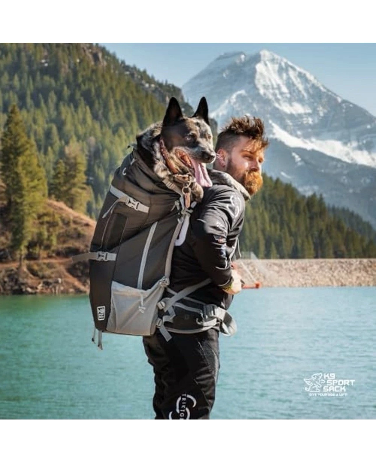 K9 Sport Sack Kolossus XL Backpack Carrier 300D Ripstop Polyester for Big Dogs