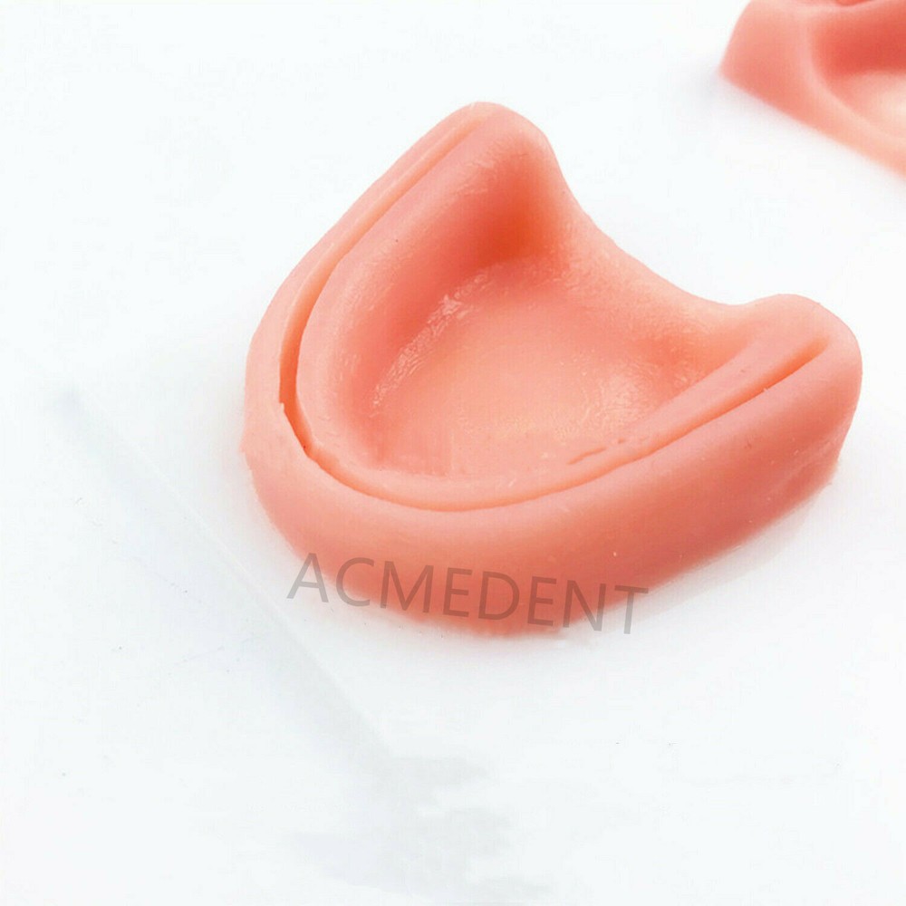 1X Dental Simulation Suture Model Gum Teaching Training Sutures Dentist Practise