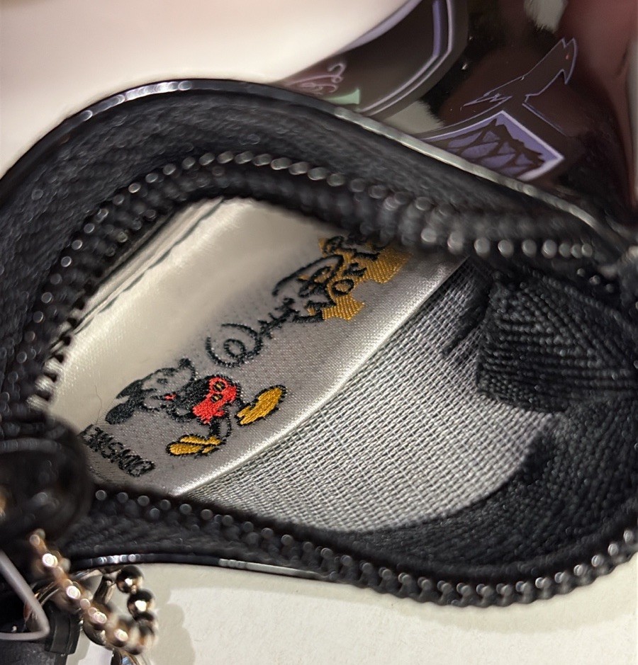 Disney Parks The Haunted Mansion Goth Maid Coffin Coin Purse RARE!!