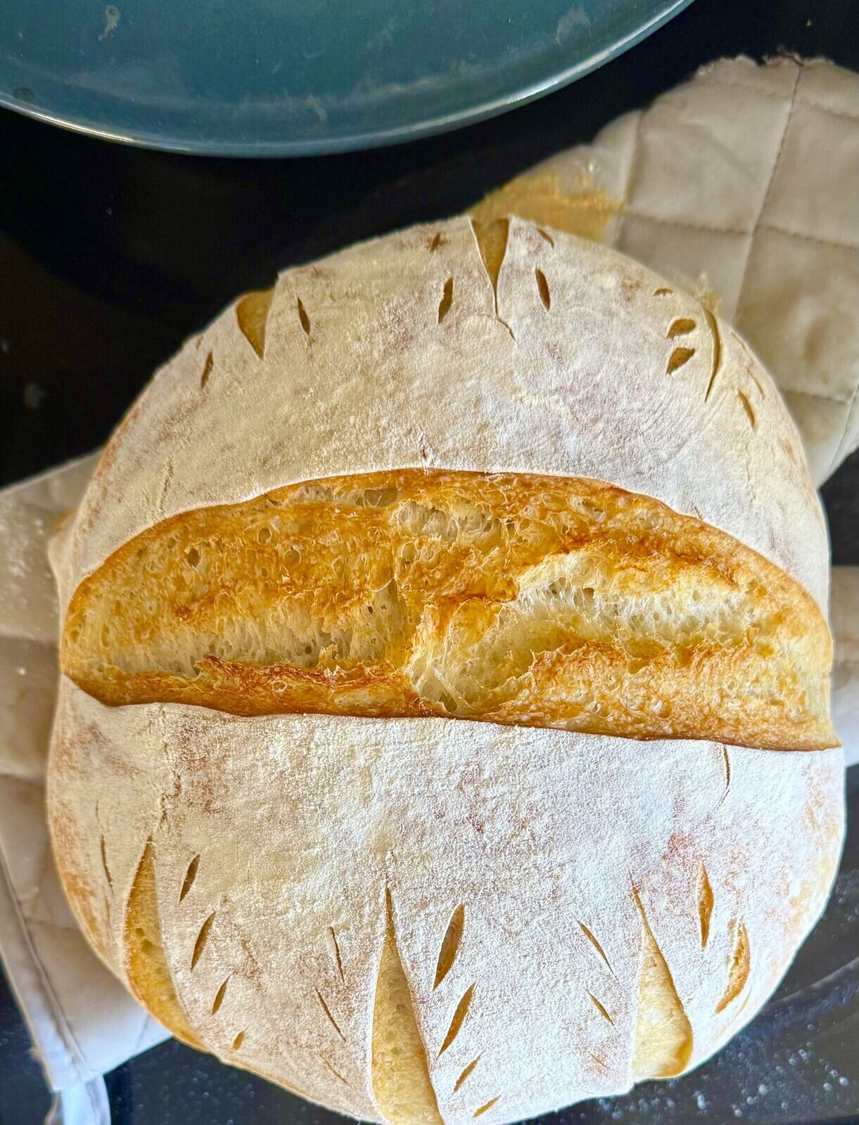 EASY Sourdough Starter Verified Live San Francisco- 221yr Old TOP SELLER!