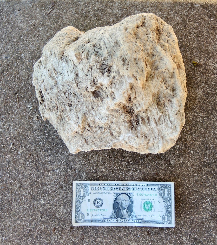 XL Pumice Stone Volcanic Rock