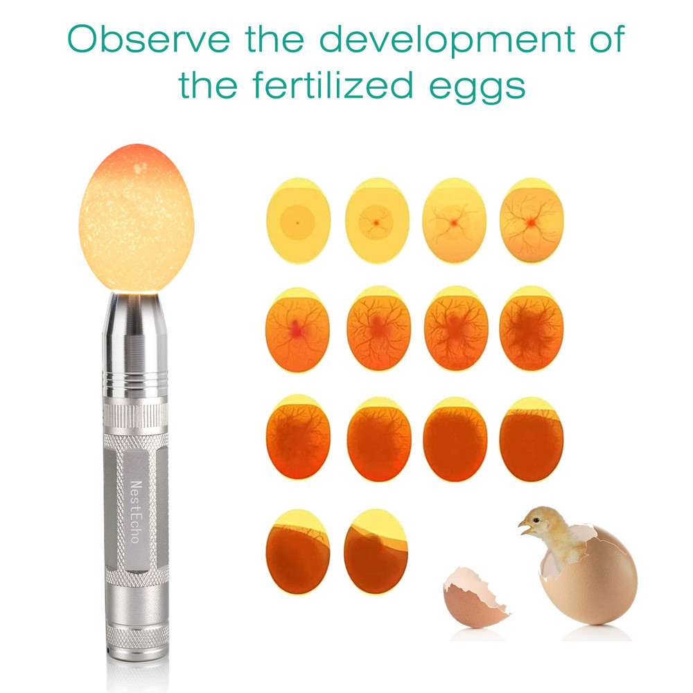 Egg Candler Light Tester Lamp for All Egg Types