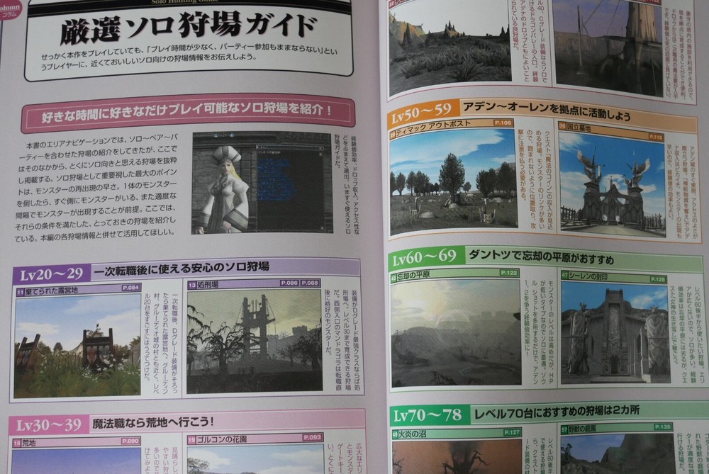 SHOHAN OOP: Lineage II Chronicle 4 Leveling Guide (Book) Damage - from JAPAN