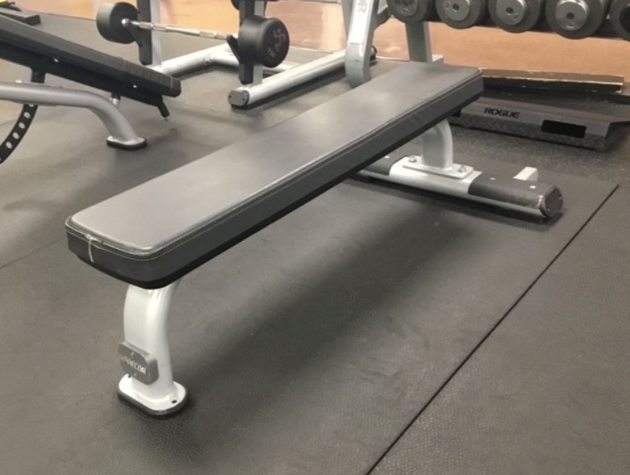 Precor | Discovery Series Fixed Flat Bench