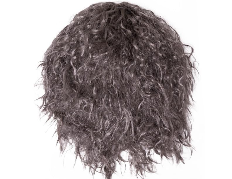 Happy Hippo Long, Gray Wizard Wig and Beard Set: Halloween Costume Wig For Me...
