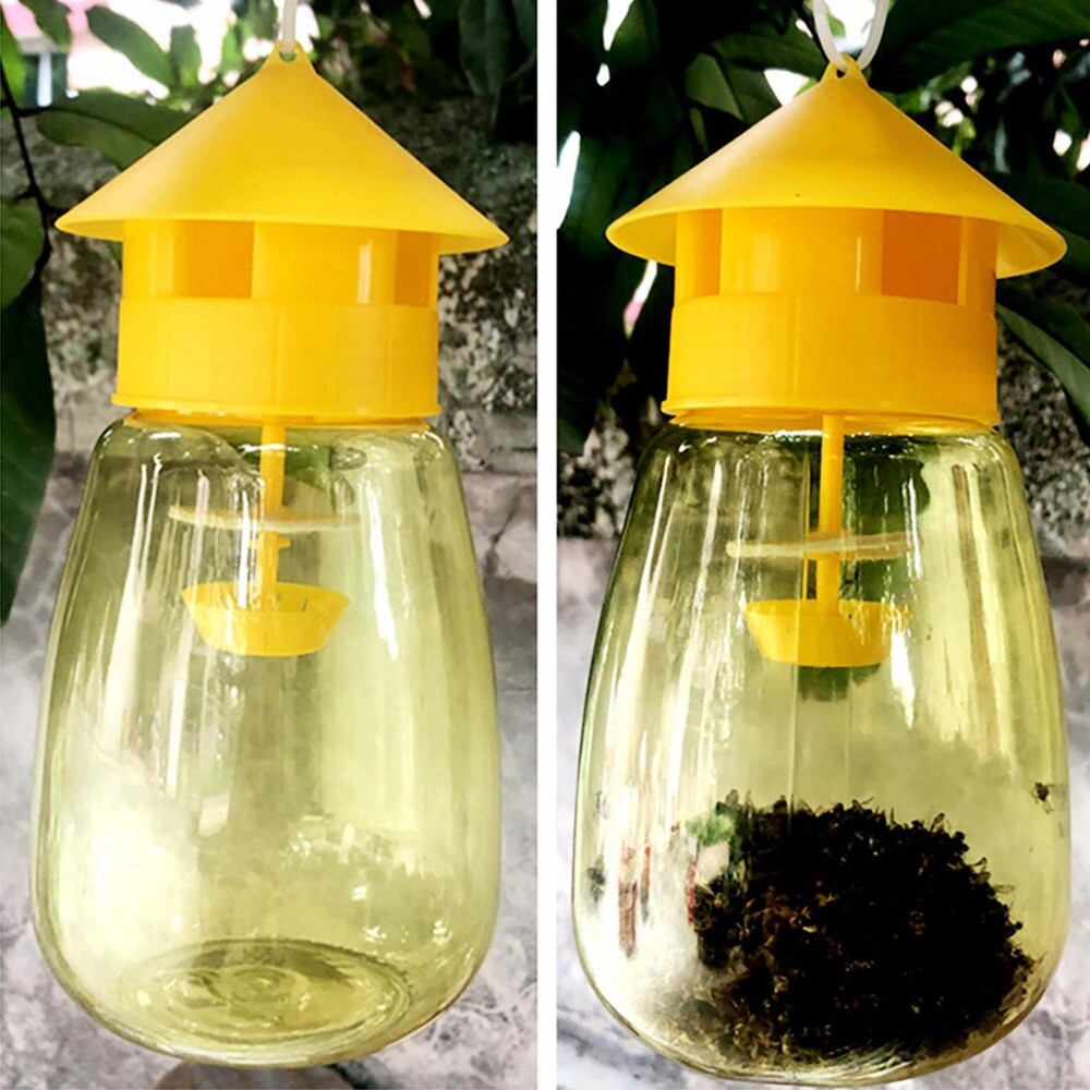 Fruit Fly Trap Killer Reusable Plastic Drosophila Trap Fruit Fly Trap Catcher