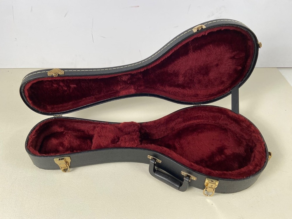 TKL Archtop A Mandolin Case 98123/BL