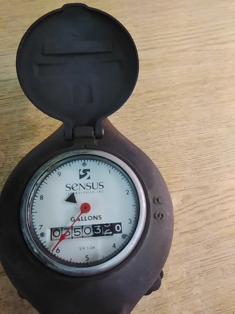 Sensus 3/4" T-04 Direct Reading In Gallons
