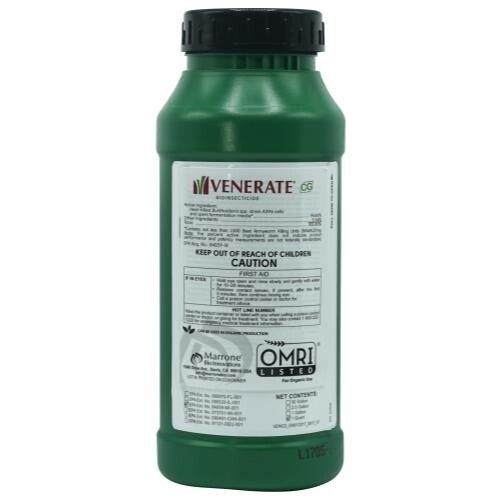 Venerate / Quart