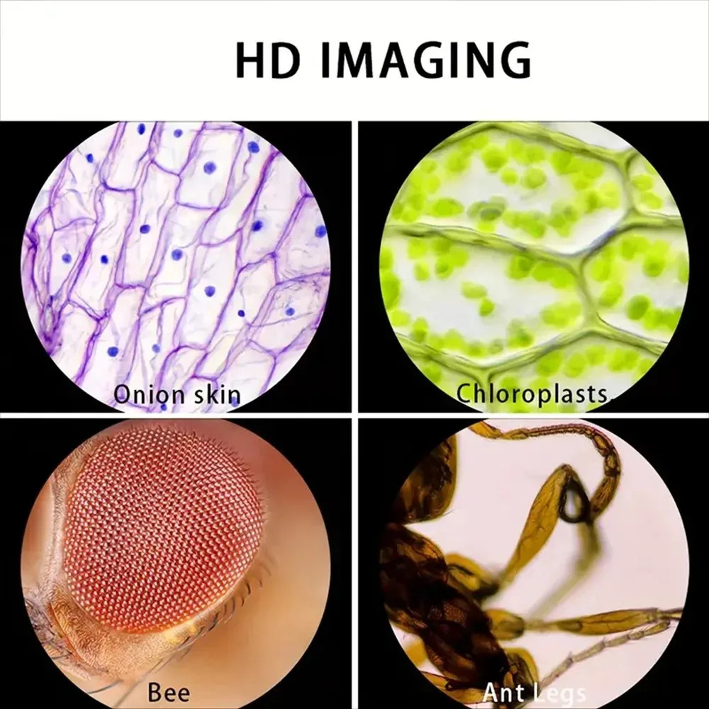 60-120x Handheld Microscope with LED Light Kids Science Tool