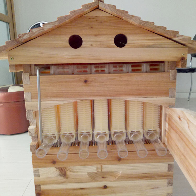 Auto Bee Hives Beekeeping Box Comb Honey House +7 Beekeeping Frames + Hive Stand