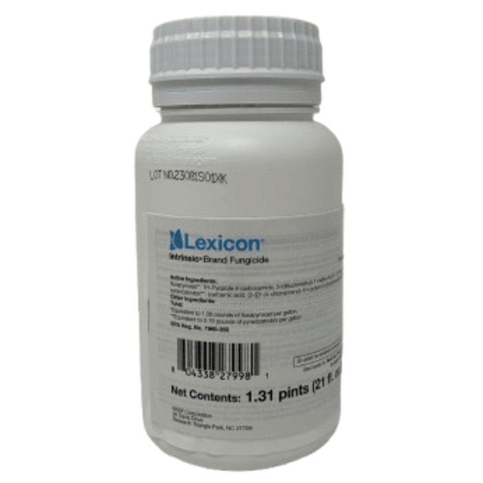 Lexicon 21oz