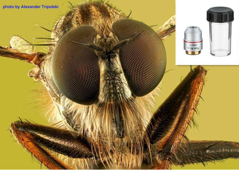 Universal RMS Thread 4X PLAN Objective Lens 160/0.17 for Biological Microscope