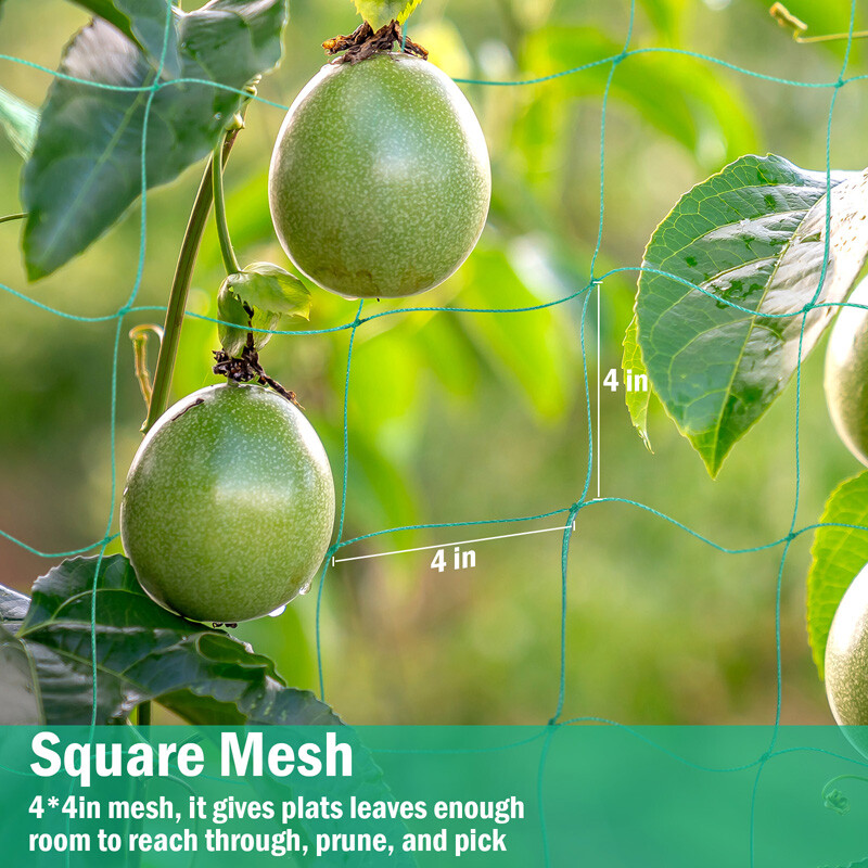 Heavy-Duty Growing Net Garden Trellis Netting for Vine Plants Fruits Flowers Veg