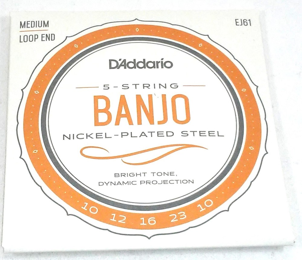 D'Addario Banjo Strings 2 Sets Nickel Steel Loop End Medium EJ61