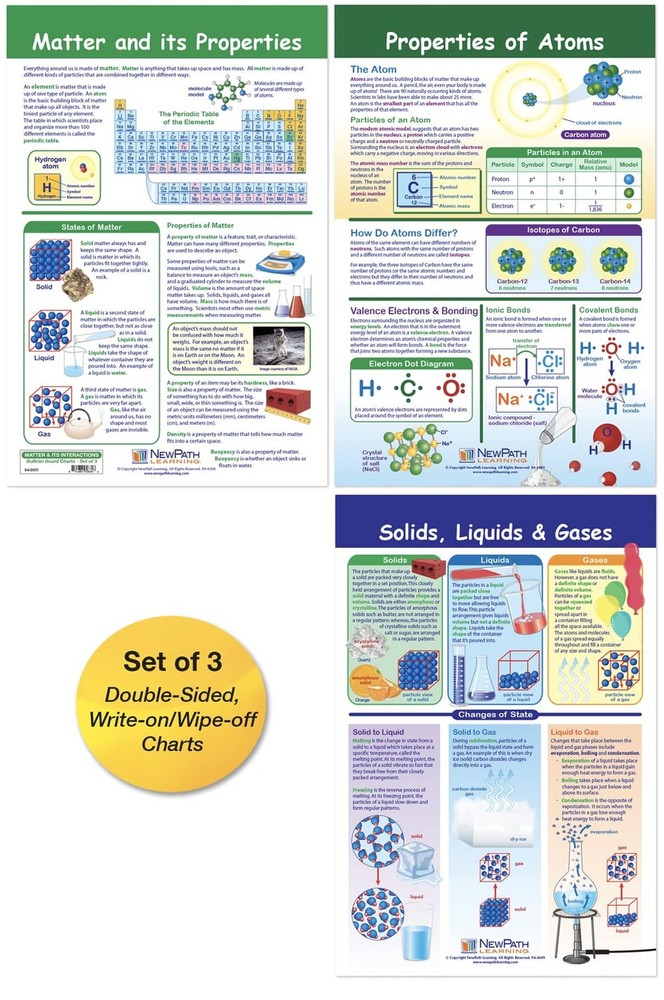 NewPath Learning Matter & Interaction Bulletin Board Charts, Set/3 - Laminate...