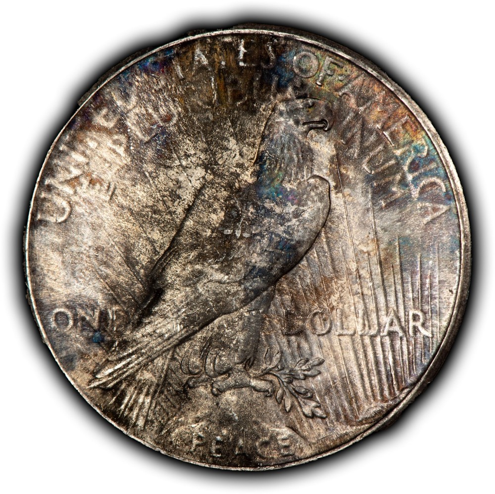 1925 $1 Silver Peace Dollar - Violet Rainbow Pattern - SKU-D7348