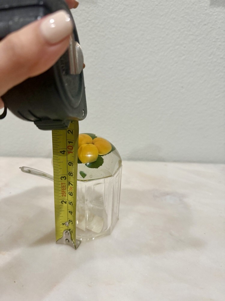 Vtg Perspex Preserve Serving plastic pot