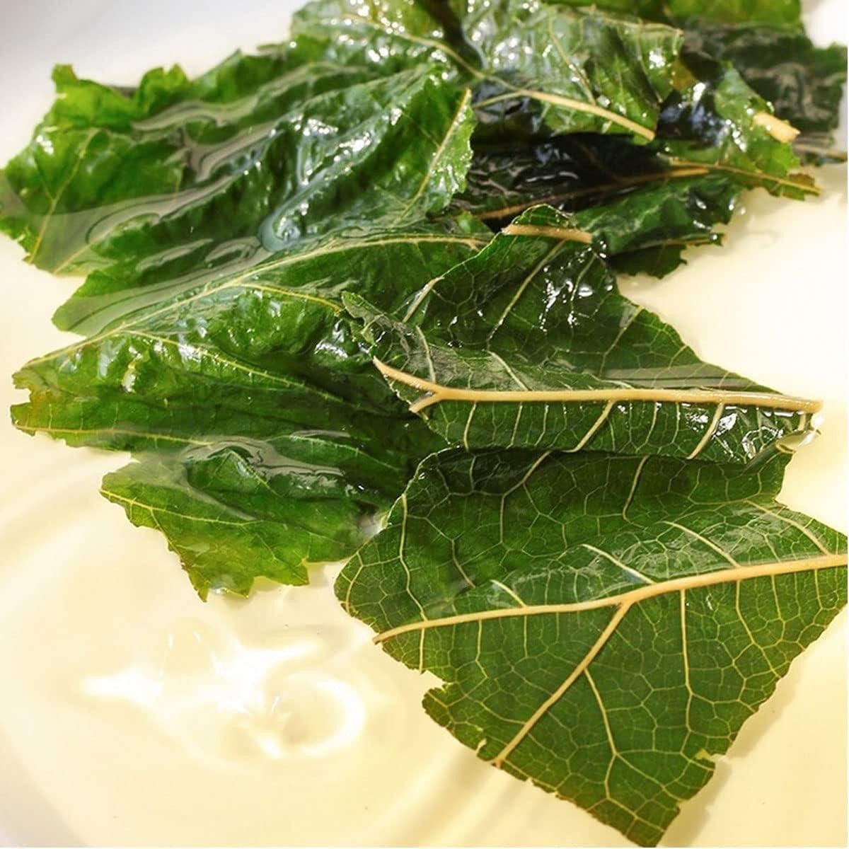 Dried 2.75oz Organic Mulberry Leaves Aquarium Leaf Litter Betta Shrimp Tannin
