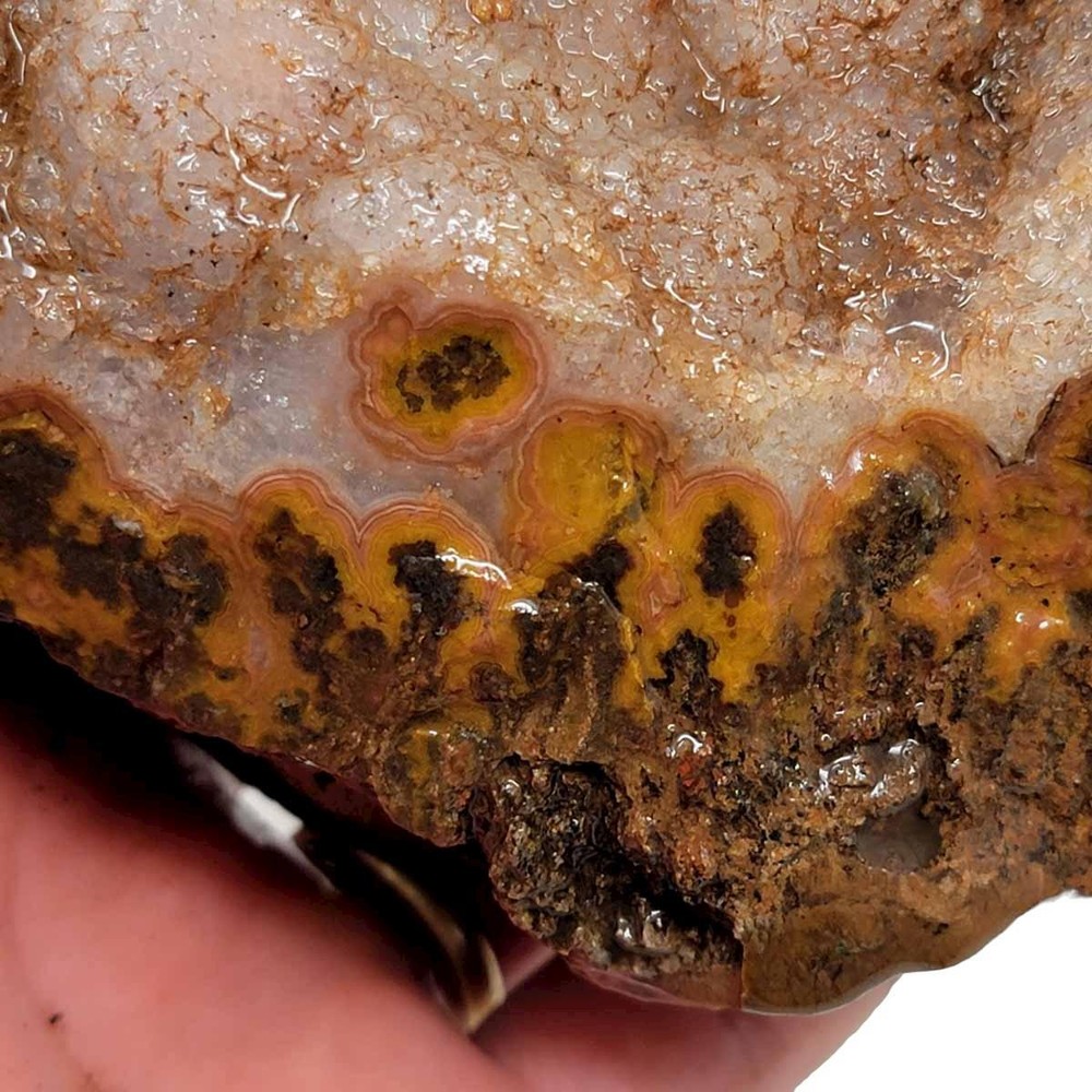 Moroccan Plume Agate Rough Chunk!