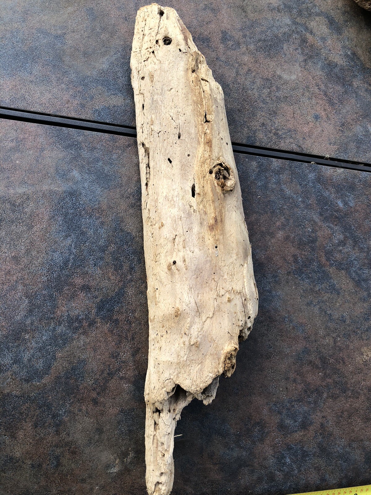 Natural Driftwood for Plants Terrarium Taxidermy Art Projects