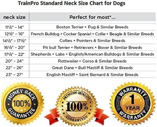 Heavy-Duty 27.5” x ¾” Training Collar Replacement Strap - Waterproof & Secure