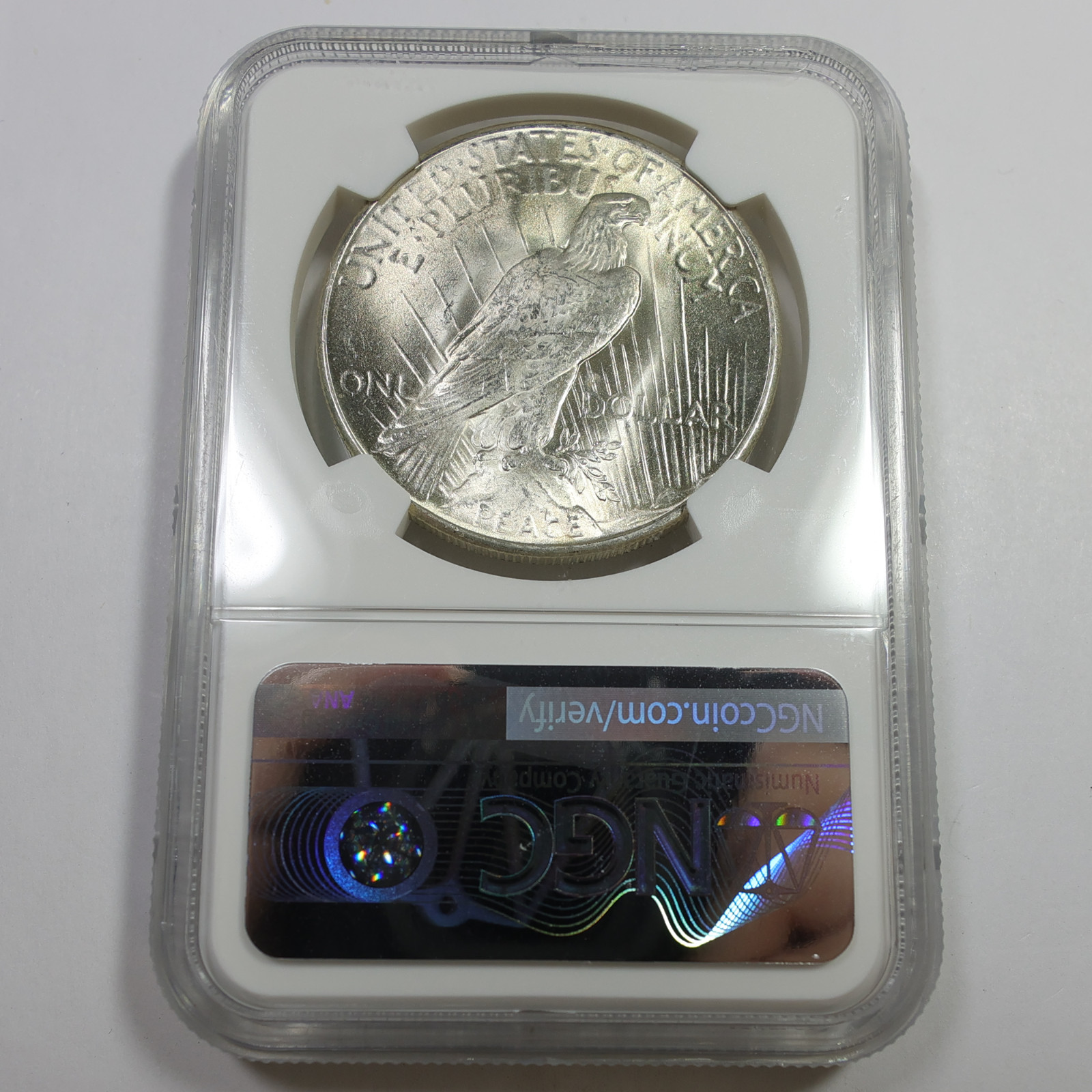 1925 P NGC MS64 - Silver Peace Dollar $1 US Coin #59523B