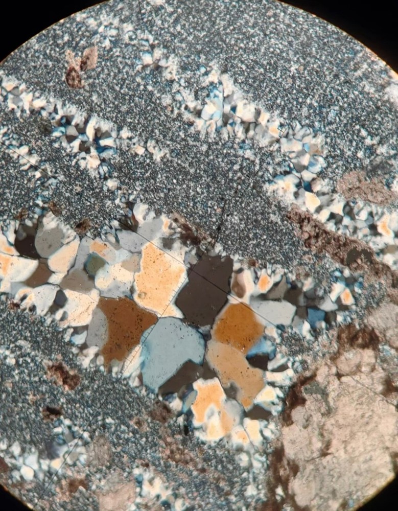 LEICA DM EP polarizing microscope full set