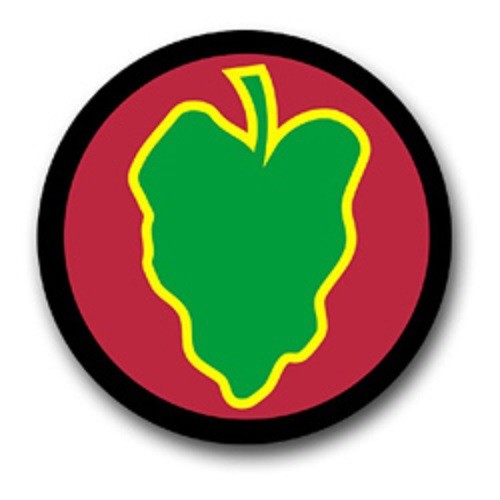 Address Labels - 24th Infantry