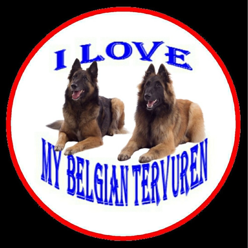 BELGIAN TERVUREN -Pin Back Button or Fridge Magnet 2 ¼" Ø