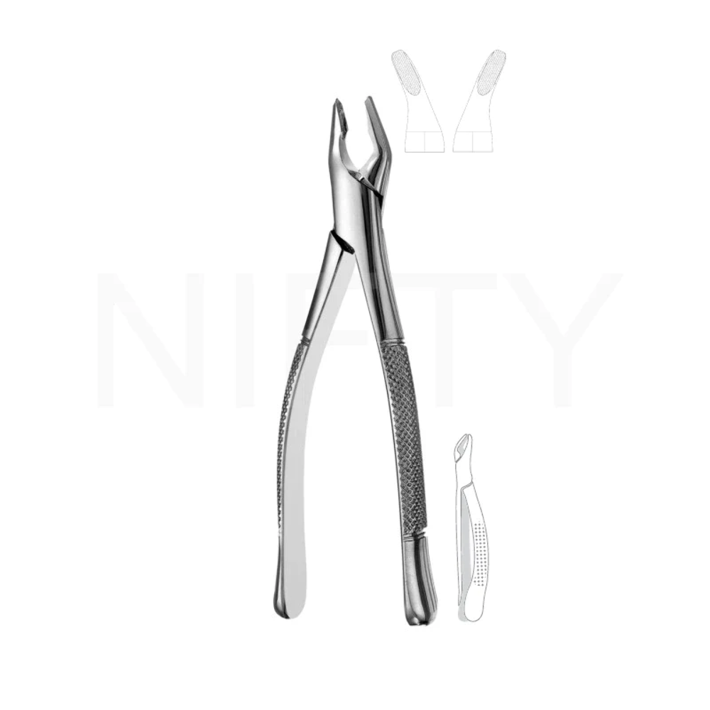 Extracting Forcep American Pattern Upper Anterior & Premolar #150 Apical