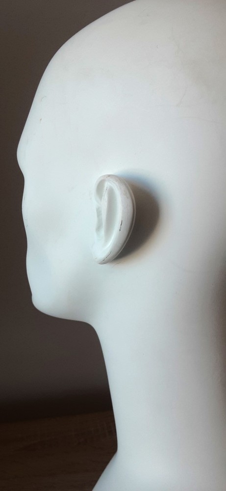 Male Mannequin Display Head