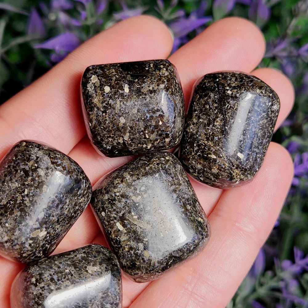 Indian Nuummite
