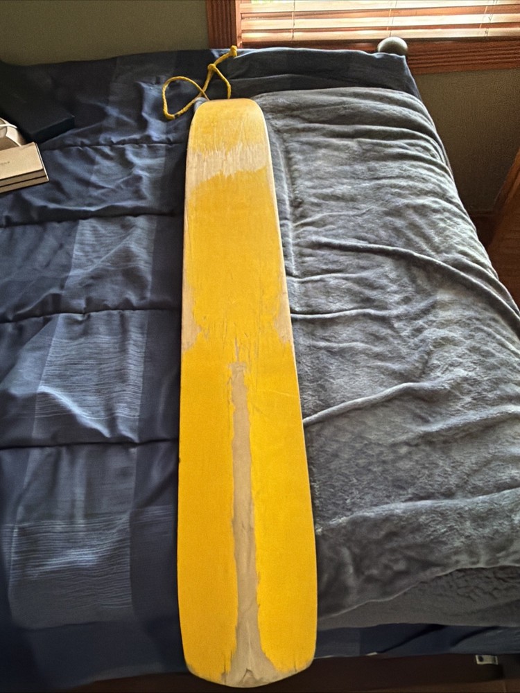 Surfer Brunswick Corporation Sled