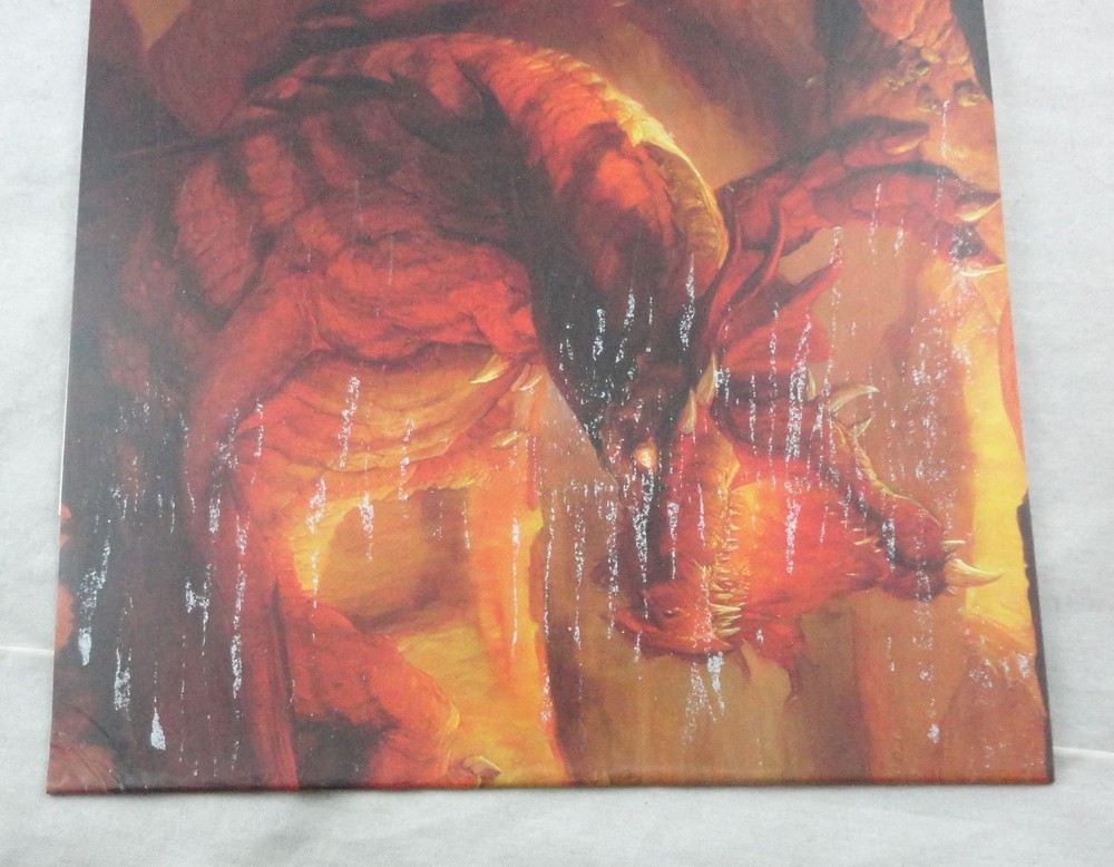 Dungeons & Dragons 3rd Ed d20 4-Panel Dungeon Master Screen D&D (2004)
