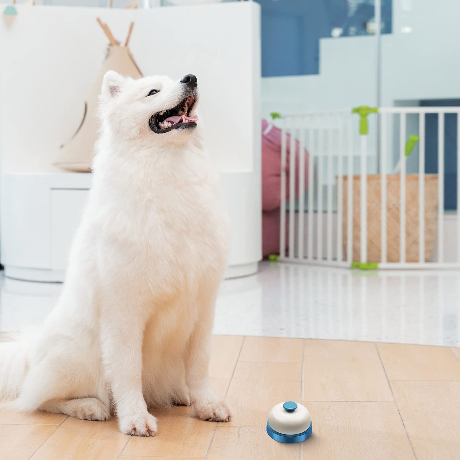 Call Bell,Service Bell Desk Dinner Front 7.2 x 4.8 cm, Blue