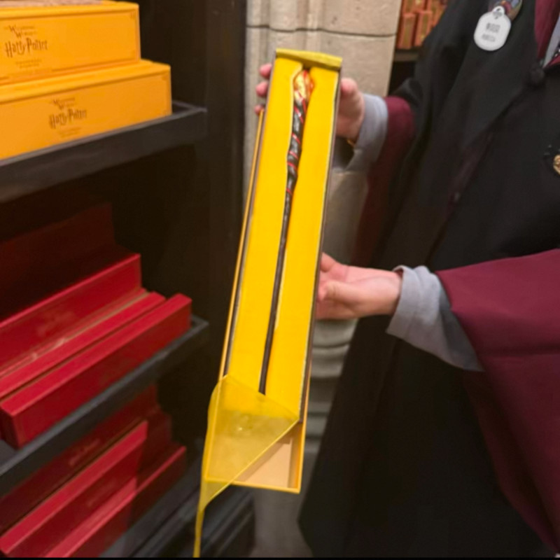 Genuine Beijing Universal Studios Harry Potter Wand Limited Edition 2025 AUTH