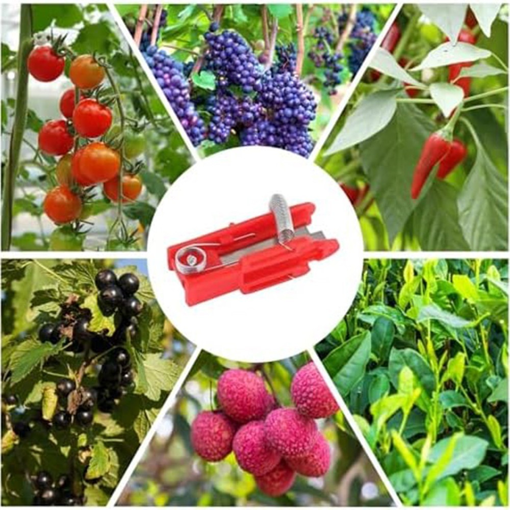 Labor saving Leaf Pruning Fruit Picking Tools Reliable and Reusable Design