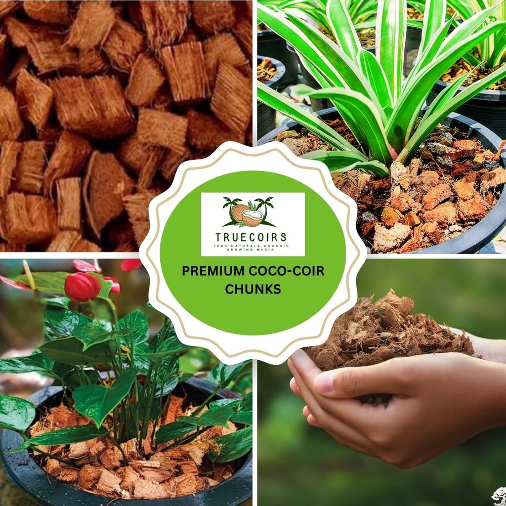 10LB CocoCoir Chunk - 100% Organic Compressed Blocks