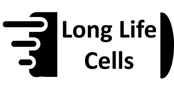 Enviroswim Oxidiser Cell pre Nov 2014 chlorinator replacement electrode generic